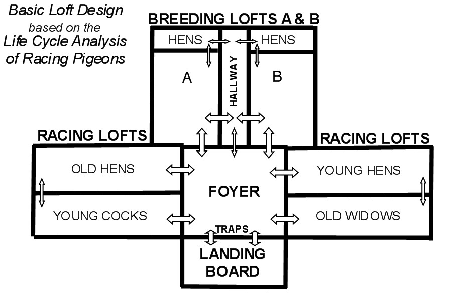 Pigeon Loft Design